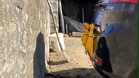 😂👀 This Funny Hack Will Make Your Day! | LifeHacksDaily