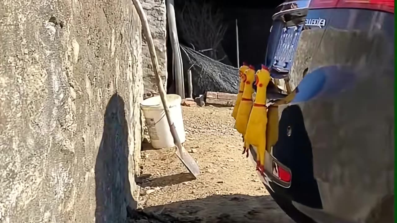 😂👀 This Funny Hack Will Make Your Day! | LifeHacksDaily