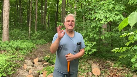 Cutting Wood, Cutting Through SBC Mess with Center for Baptist Leadership (ft. Pastor Tim Bushong)