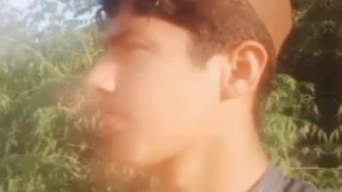 fun