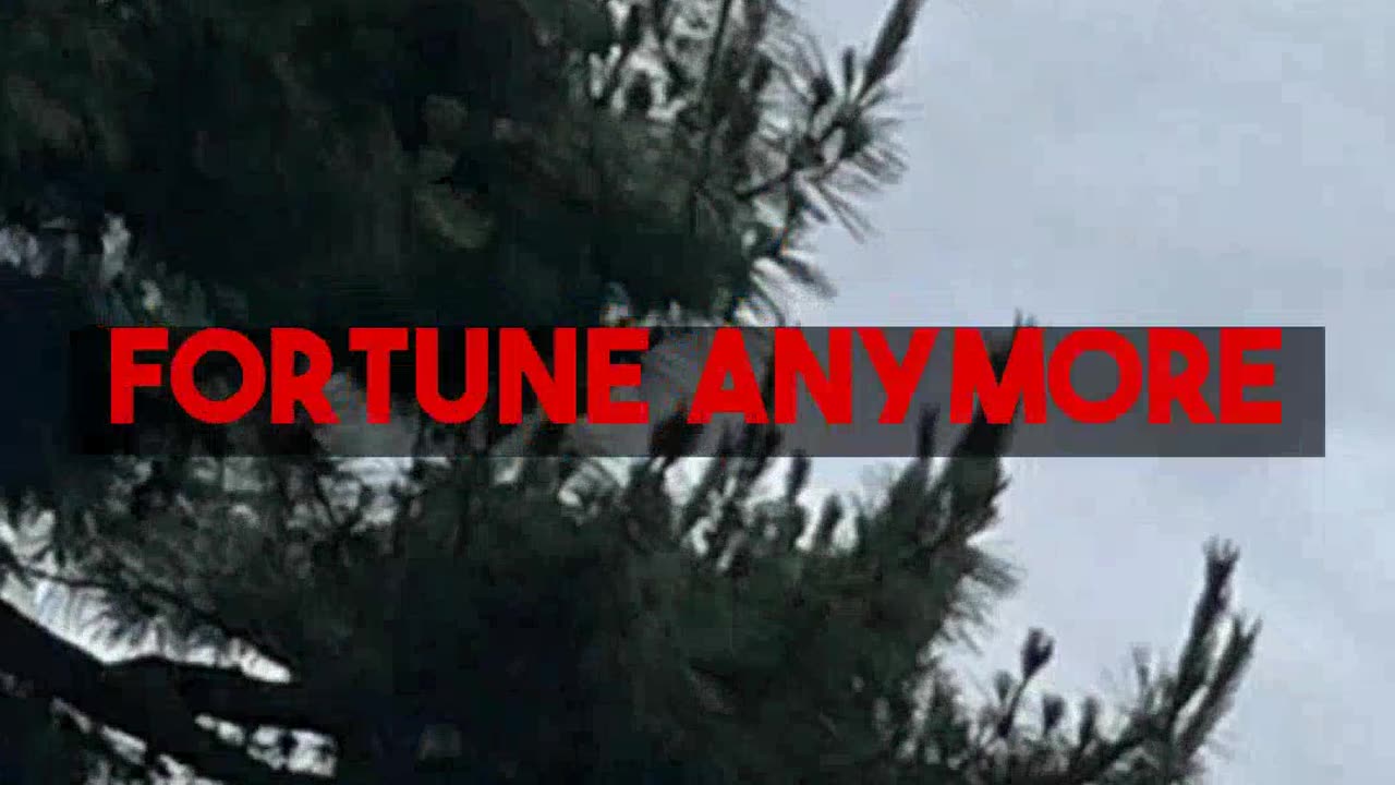 Yokohama Vintage Stores For Solo Explorers