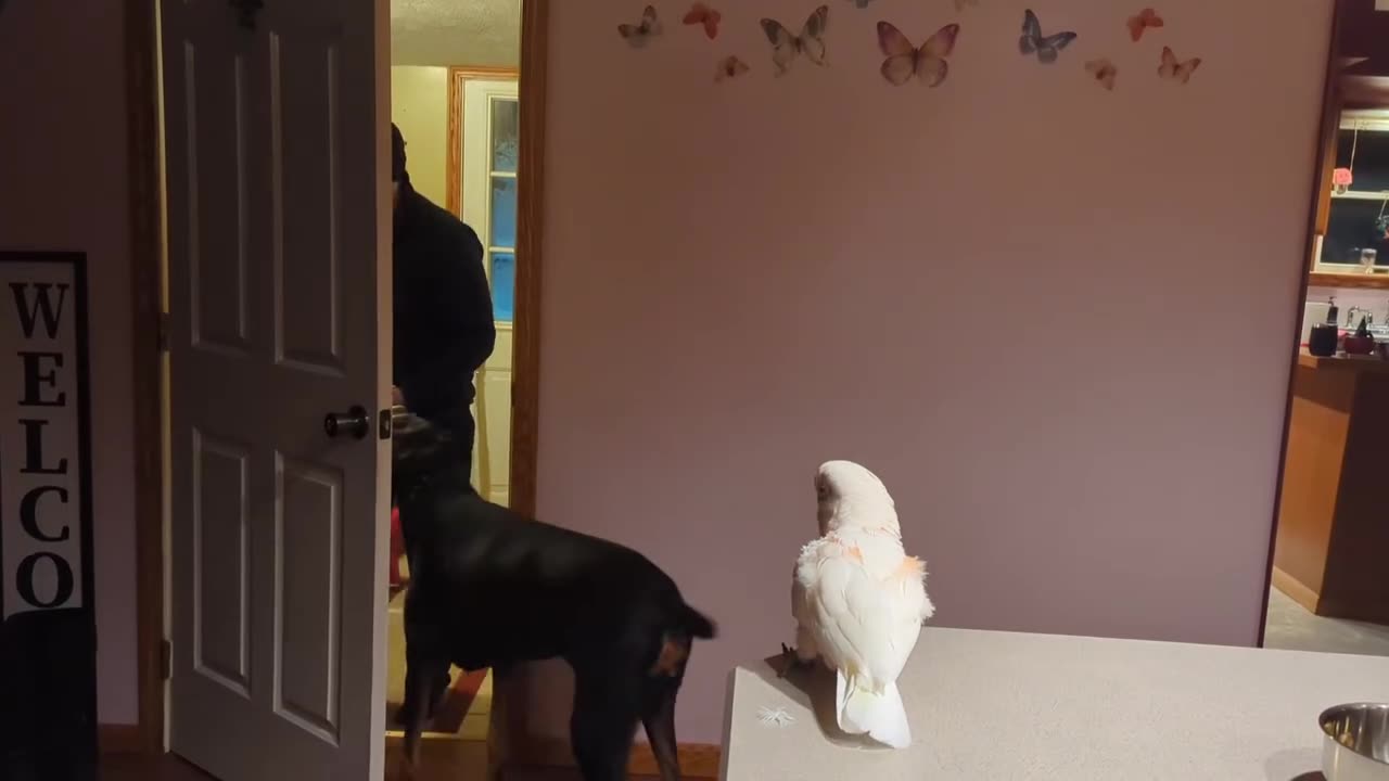 Waiting For The Door To Open