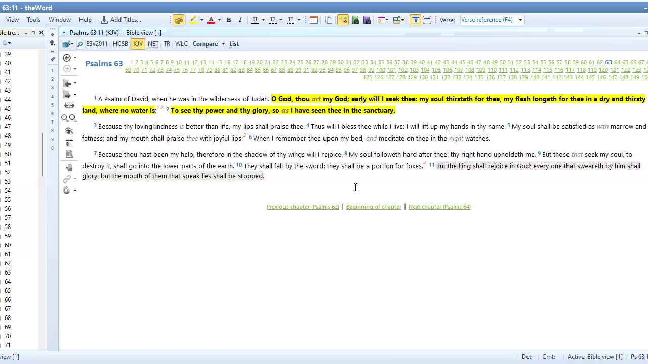 Bible Study Psalms 63 And 64