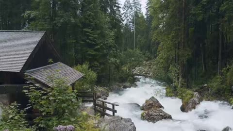 Foggy Morning Drives – Atmospheric Landscapes in UHD