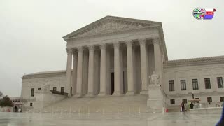 TWO CATS U.S. POLITICAL NEWS