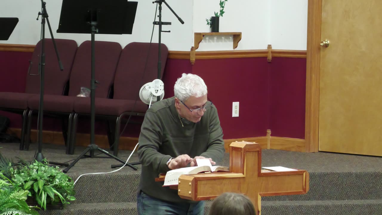 Wisdom | Steve Diskin