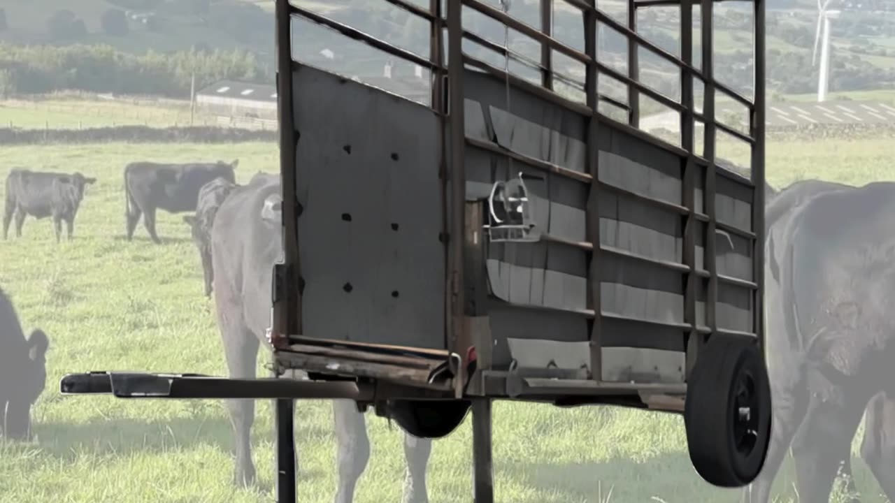 American-Made Portable Loading Chutes