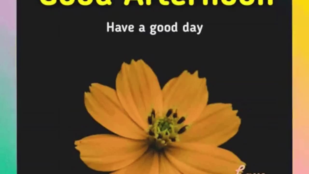 Good afternoon 🌞