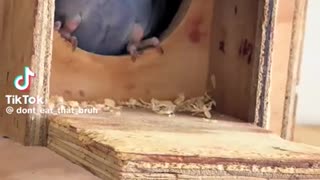 😂😱 Yeah, That's Rough Buddy! | FunFM