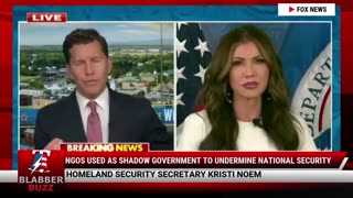 NGOs Used as Shadow Government to Undermine National Security