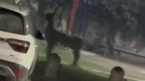 😱👻 The Scariest Spirit Sighting I've Ever Seen! Does the Swing Movement Look Natural? Paranormal Enc