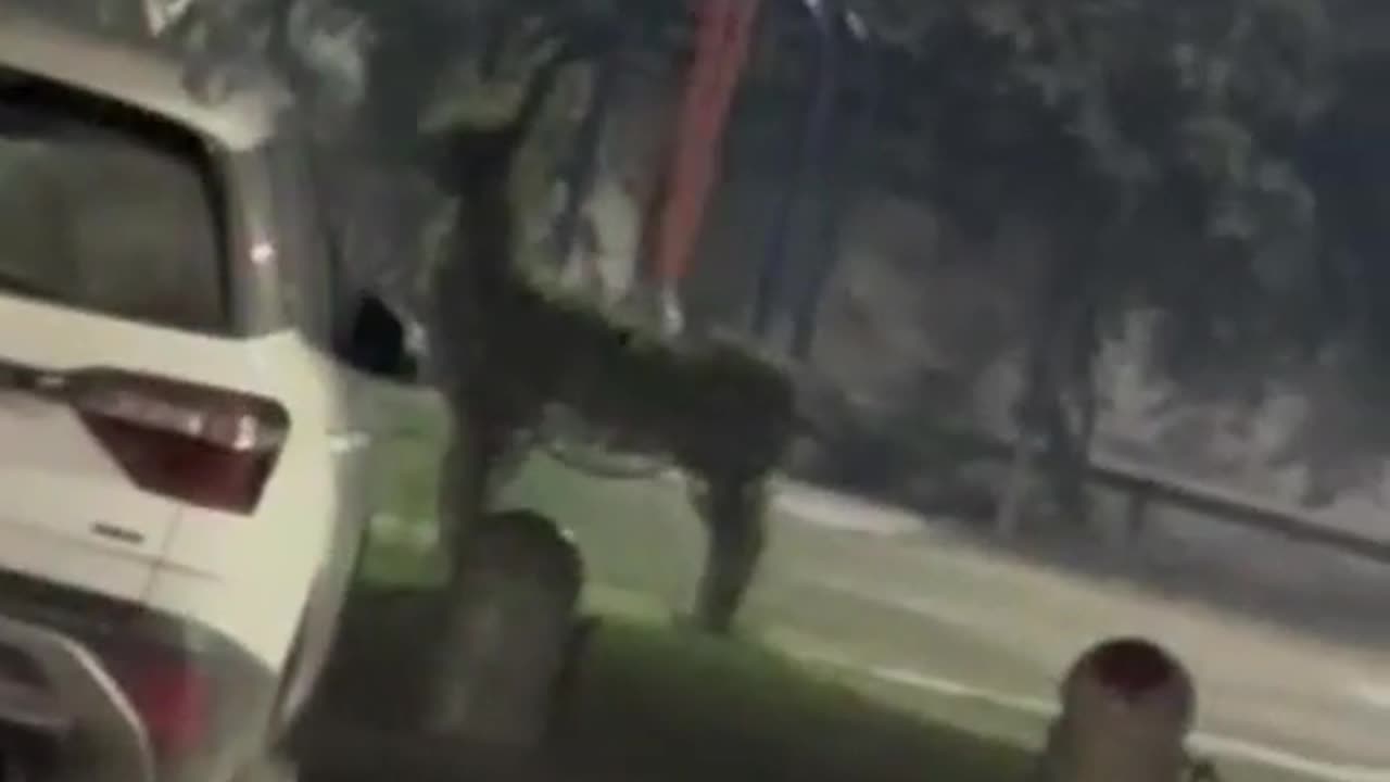 😱👻 The Scariest Spirit Sighting I've Ever Seen! Does the Swing Movement Look Natural? Paranormal Enc