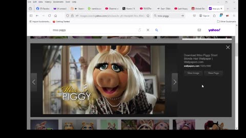 MISS PIGGY PARY 2