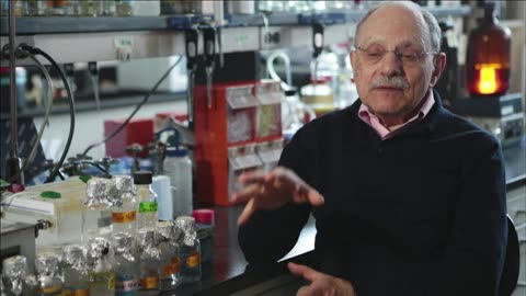 THE GUT OUR SECOND BRAIN