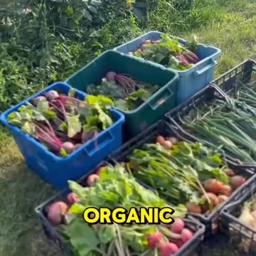 Organic food should be called FOOD, and the other shit be called POISON