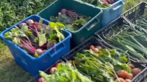 Organic food should be called FOOD, and the other shit be called POISON