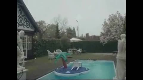 Broma de Catapulca