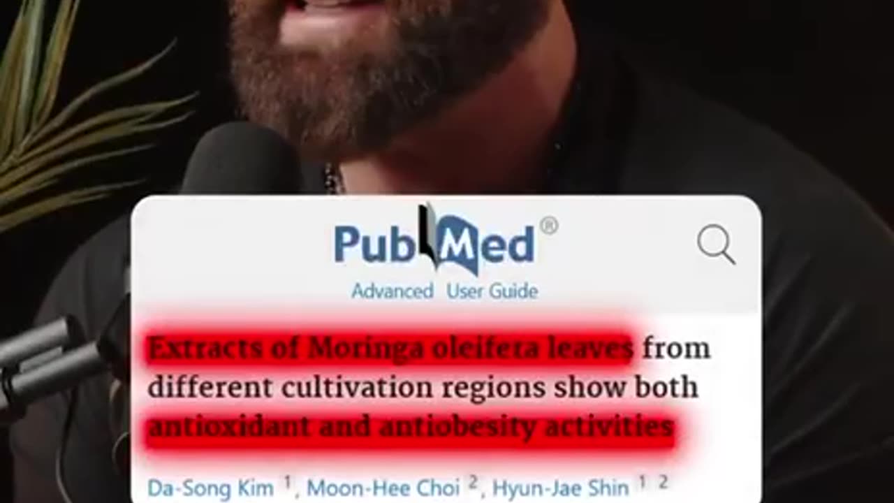 Moringa magic, buy it now, the link in video description