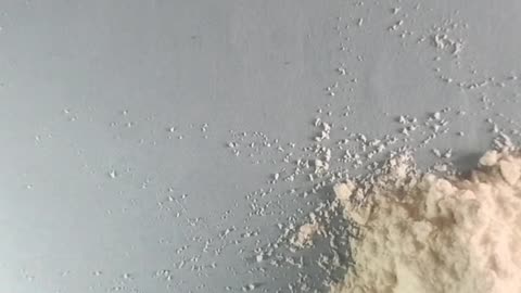 INSECTS