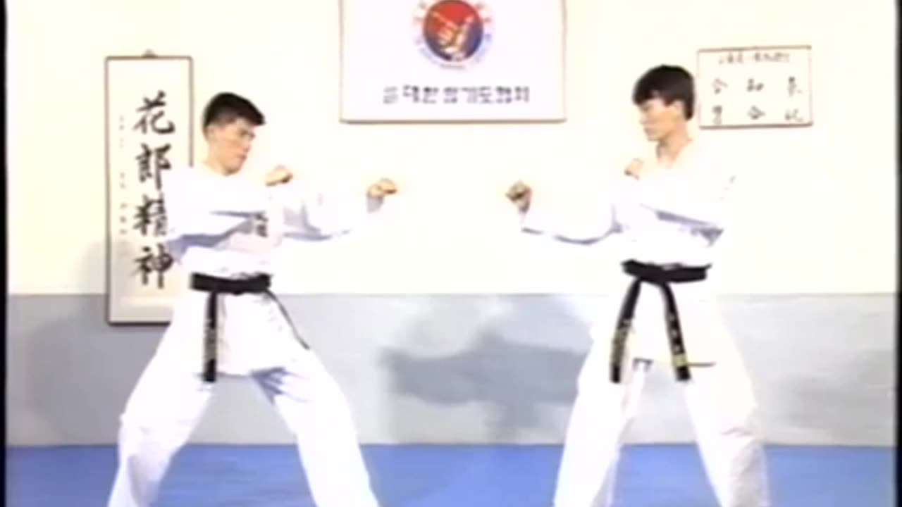 Hapkido