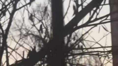 🤯🛸 UNIDENTIFIED Flying Object Spotted in Washington, D.C.! UFO Sighting | TheTruthAbove