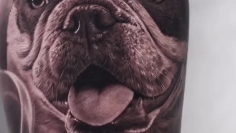 Beautiful Dog Portrait - Jose Contreras TX