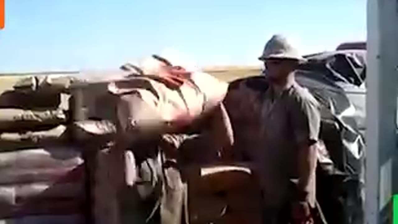 Try Not to Laugh Compilation | Funniest Moments That Will Break You