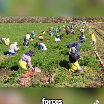 Trump is playing chess while everyone else is playing checkers.