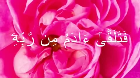 Surah Al-Baqarah Ruku 4 | The Story of Adam (A.S) & Iblees