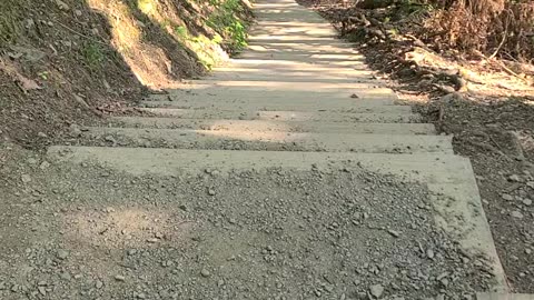 Treman Park Gorge Trail Ascent: Part 4