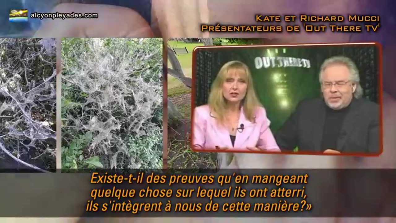 En 2006, le lien a été expliqué Morgellons, nanobots . Il s'agit de produits synthétiqués