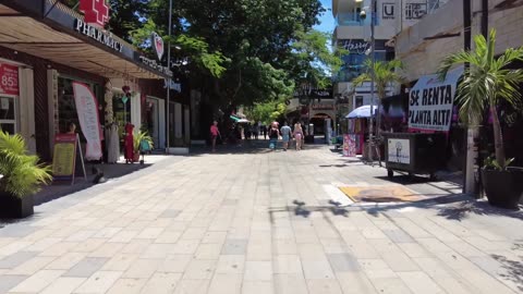 5th Avenue - Playa del Carmen - Quintana Roo - HD