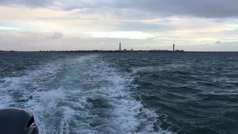 Boat Tour (Ria Formosa Natural Park, Algarve, Portugal) 13