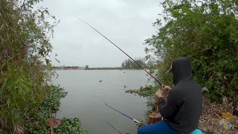 Walleye Prowls the Midnight Lake