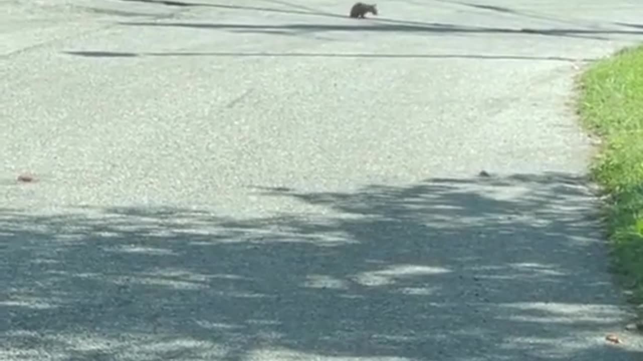 GLITCH IN THE [MATRIX]