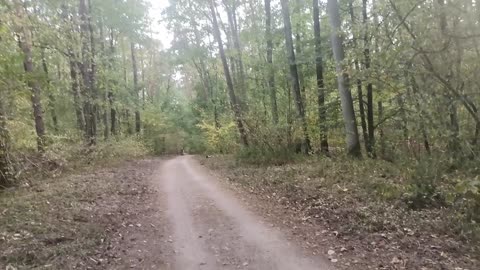 właściwe rozróżnienie ...