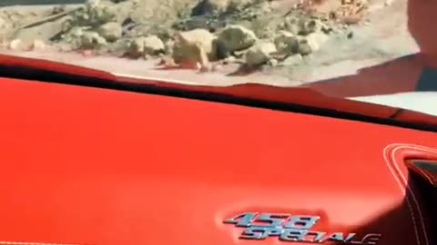 ✨💨 Luxury Cars in Full Motion! | LuxurySportsCars