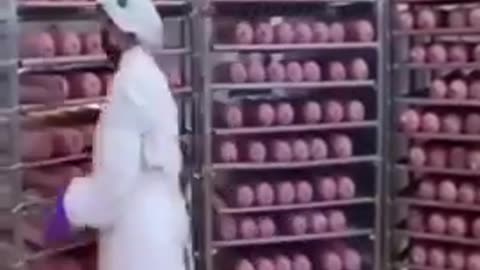 How deli meat is made...
