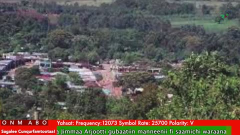 Oduu Waaree ONM-ABO Ebla 3-2025 itti dhiyaadhaa!