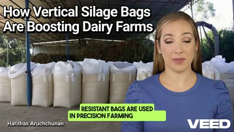 From Harvest to Feed; How Vertical Silage Bags Are Boosting Dairy Farms Worldwide