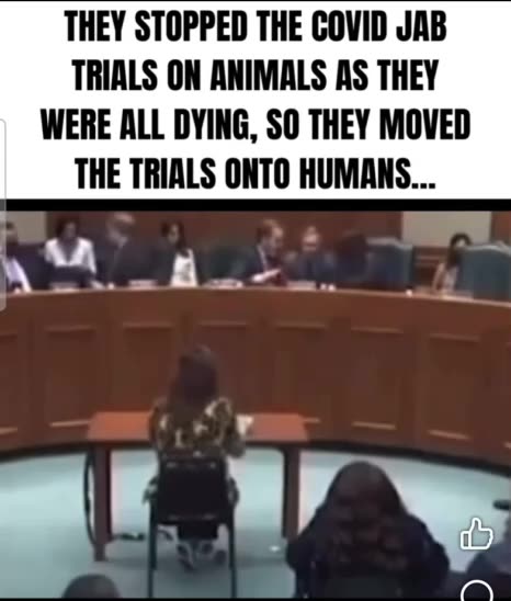 Covid jab animal testing trials stopped because they were dying