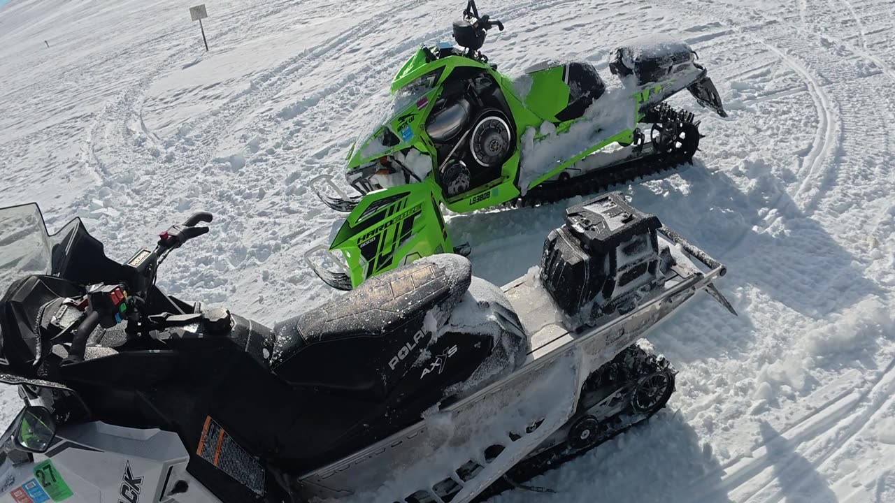 Wouldn't be my first pick in sleds for out here!