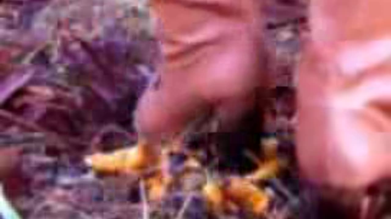 Brown Boots Trampling & Crushing