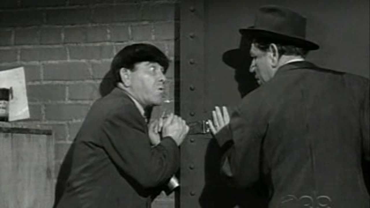 E159. Fling in the Ring - Shemp Howard Era - 1955