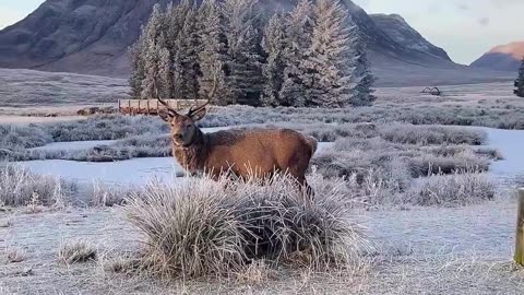Escape to Glencoe Valley