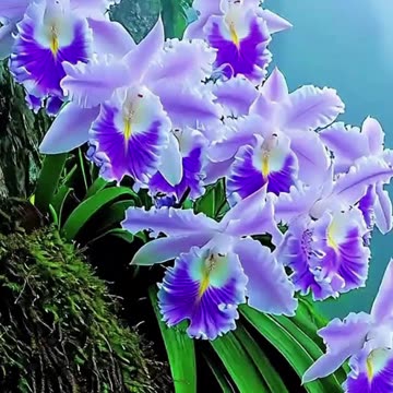 जब तक जान है ये दोनों बातें भूलकर भी ना भूलना