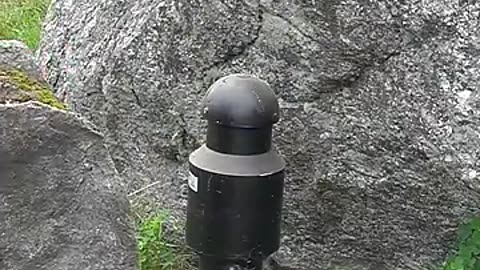 This Rock Fooled Everyone for 30 YEARS!