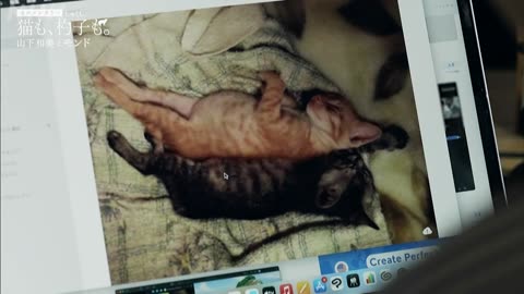 ネコメンタリー 猫も、杓子も。 山下和美とモンド