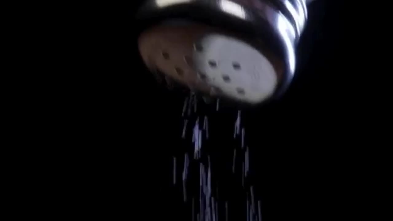 Scripture of the Day