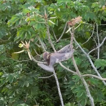 Sitting on top of the world